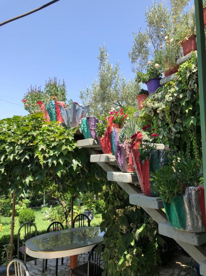 Vlorë Villa Duka מראה חיצוני תמונה