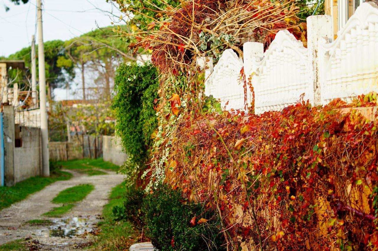 Vlorë Villa Duka מראה חיצוני תמונה